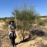 Woman holding measuring stick and standing next to tall tree.