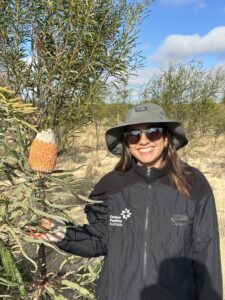 Woman standing next to a flowering banksia tree.
