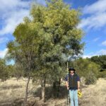 Man standing next to a very tall tree. 