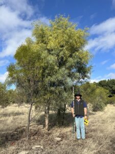 Man standing next to a very tall tree. 