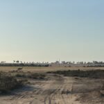 Dirt road with kangaroos in the distance.