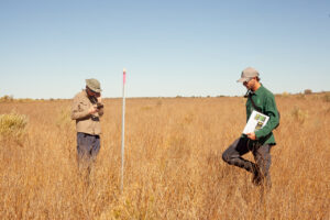Two people within monitoring plot with plot marker.