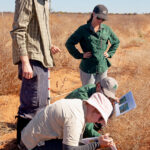 Two people standing with a measuring stick and two people squatting to identify species. 