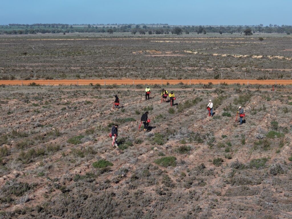 Aerial view of Rangers planting seedlings.