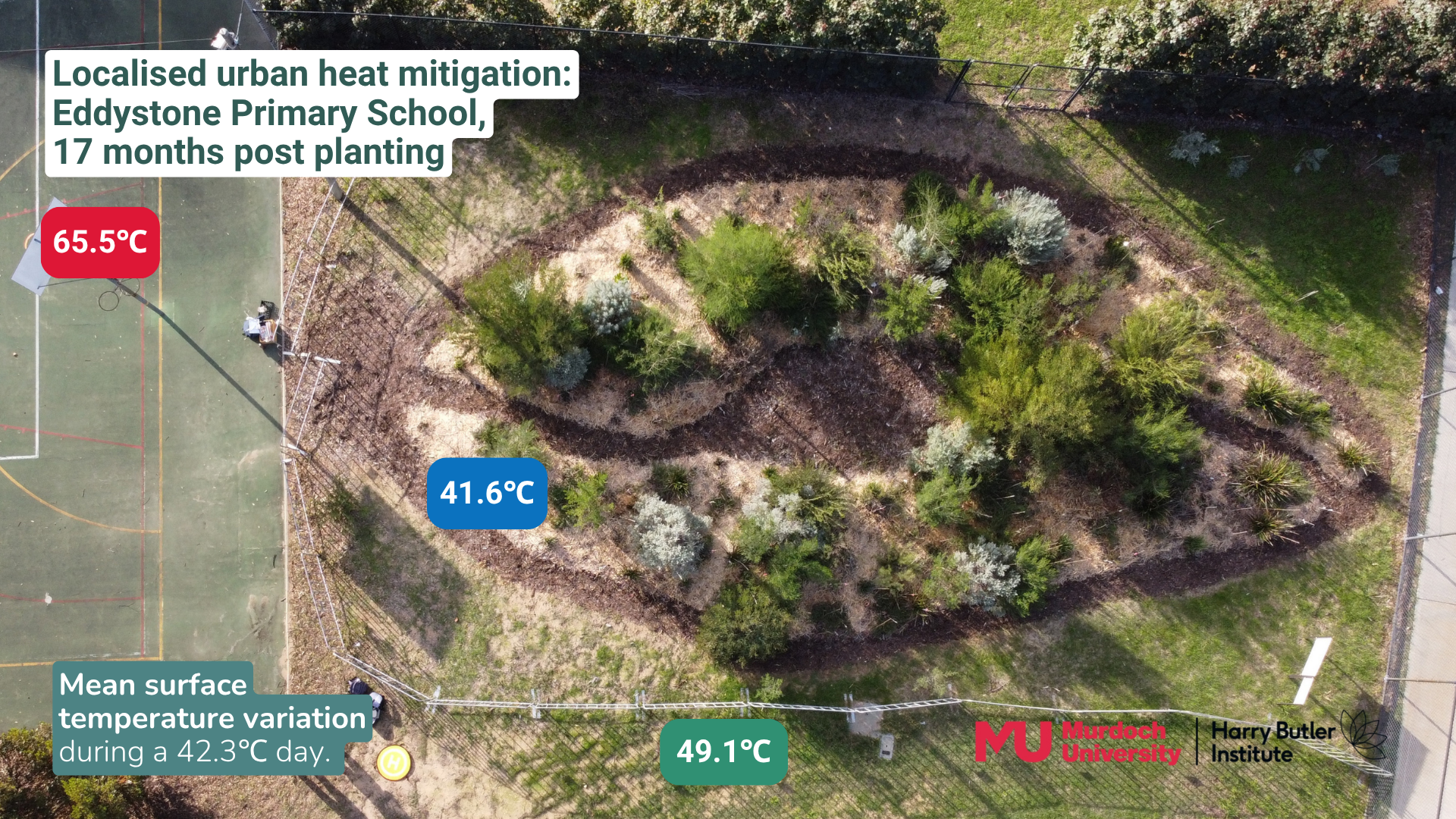 Urban heat reforestation project