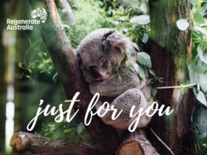 eCard Gift: Just For You with Koala
