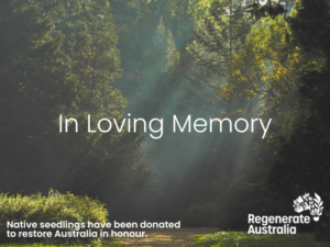 Gift an eCard: In Loving Memory