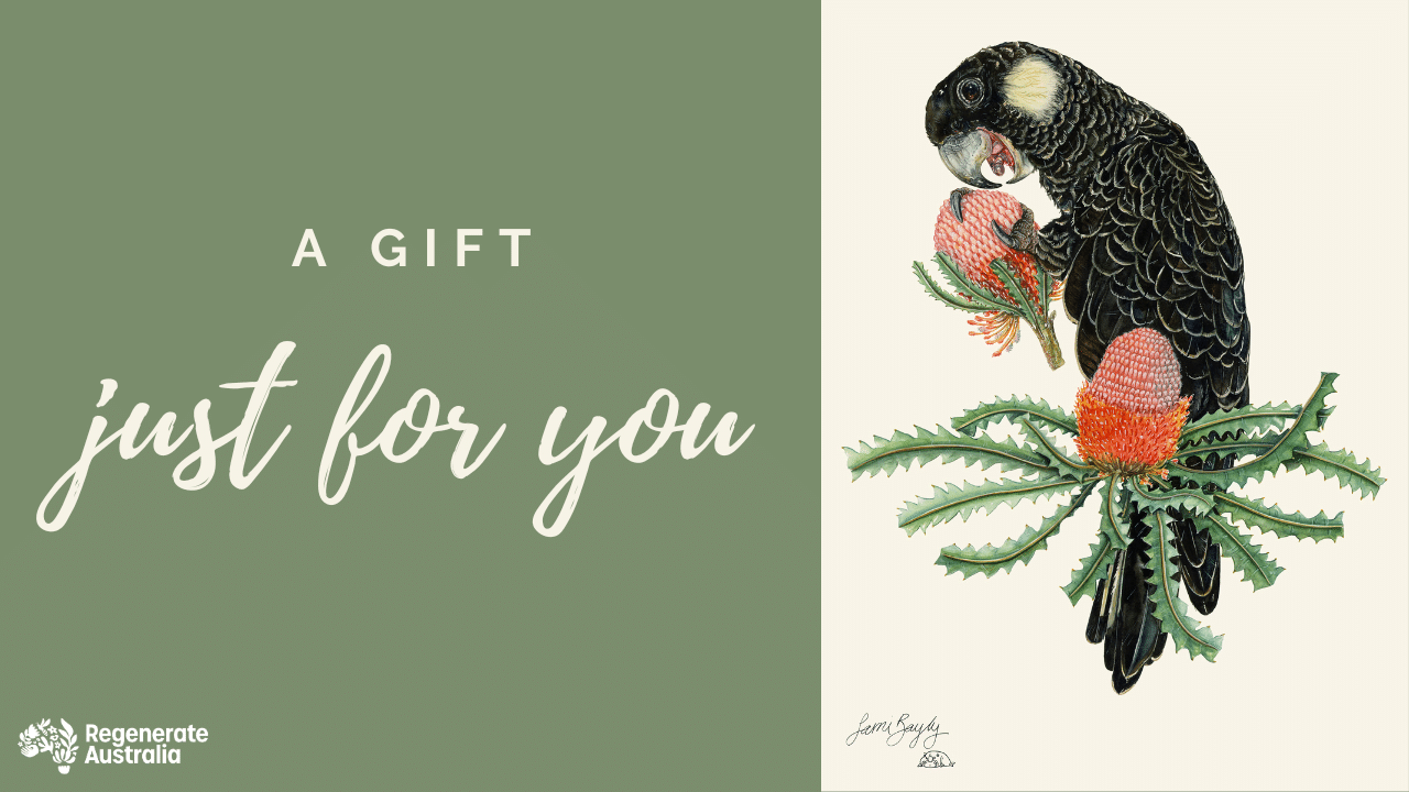 Artist Series: Sami Bayly Original Art eCard - Just for You