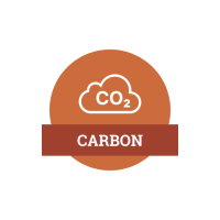 Temporary Icon – Carbon Temporary Icon - Carbon