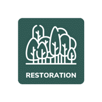 Restoration-Badge-Web