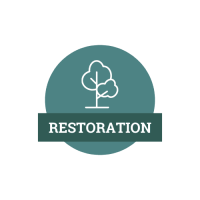 Temporary Icon - Restoration